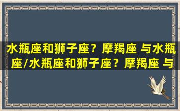 水瓶座和狮子座？摩羯座 与水瓶座/水瓶座和狮子座？摩羯座 与水瓶座-我的网站